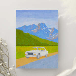 PEUGEOT 304 60 CM/40 CM